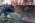 Christmas Tree Collection & Disposal in Edinburgh